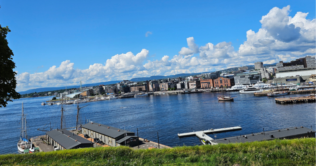 Cost of Living as an Expat in Norway
